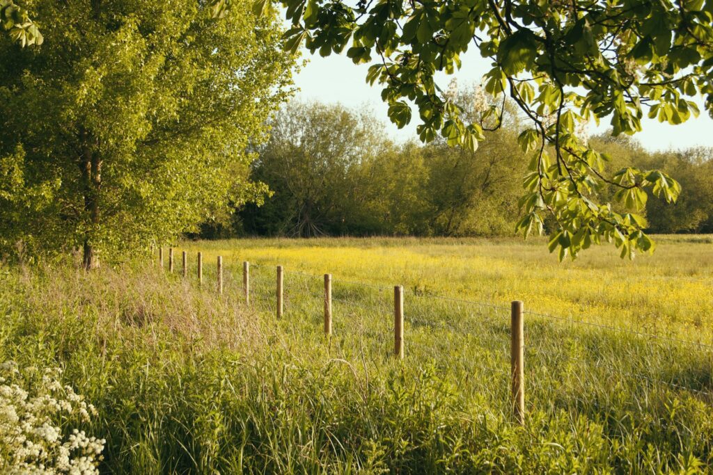 Does pasture make a homestead?